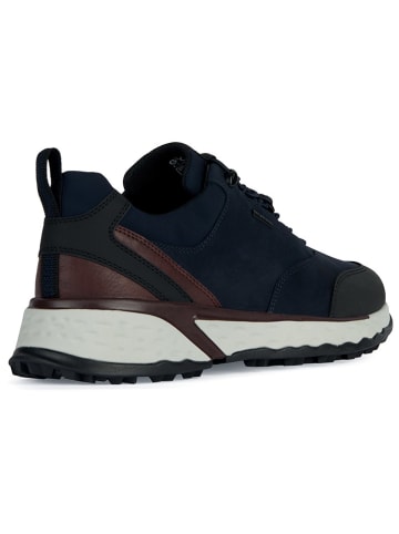 Geox Sneakers "Sterrato B Abx" in Dunkelblau