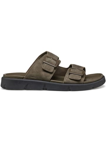 Geox Klapki "Xand 2S" w kolorze khaki