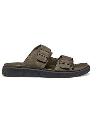 Geox Pantoletten "Xand 2S" in Khaki