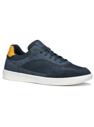Geox Sneakers "Rieti" in Dunkelblau