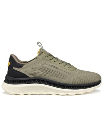Geox Sneakers "Spherica Actif X" in Khaki