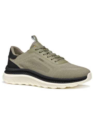 Geox Sneakers "Spherica Actif X" in Khaki