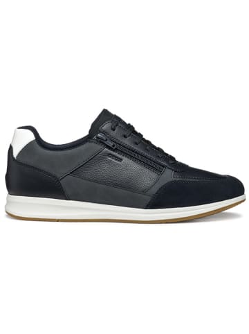 Geox Sneakers "Avery" in Dunkelblau