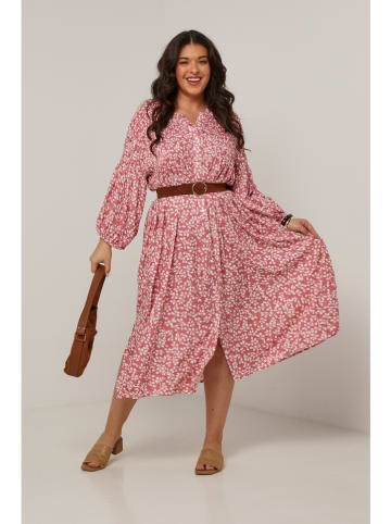 Curvy Lady Kleid in Rosa