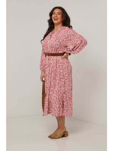 Curvy Lady Kleid in Rosa