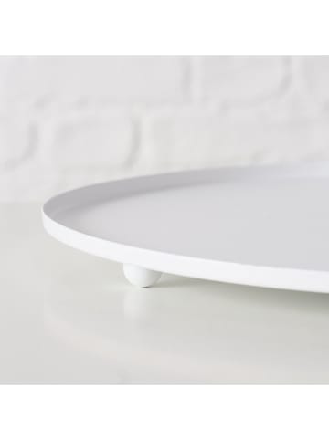Boltze Moskitiera "Lutea" w kolorze białym na żywność - wys. 17 x Ø 25 cm