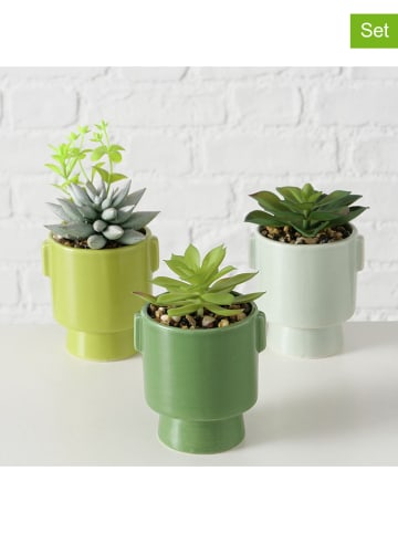 Boltze 3er-Set: Kunstpflanzen "Sukkulente" in Grün - (H)15 cm