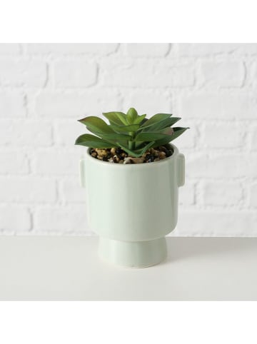 Boltze 3-delige set: kunstplanten "Sukkulente" groen - (H)15 cm