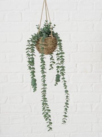 Boltze Kunstplant "Eucalyptus" groen/lichtbruin - (L)78 cm