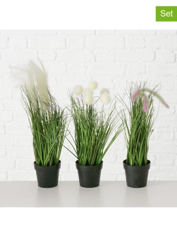 Boltze 3er-Set: Topfpflanzen "Gras" in Grün  - (H)46 cm