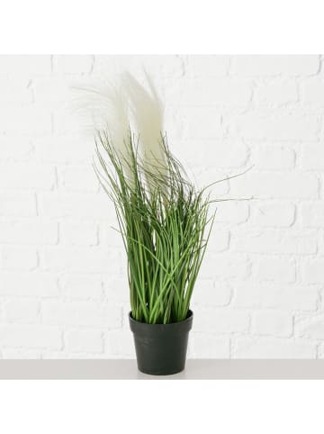 Boltze Rośliny doniczkowe (2 szt.) w kolorze zielonym - wys. 46 cm