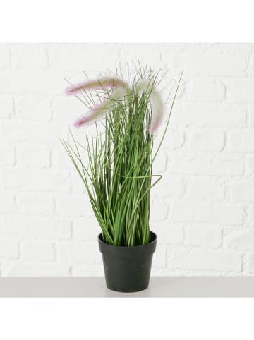 Boltze 3er-Set: Topfpflanzen "Gras" in Grün  - (H)46 cm