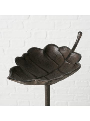 Boltze Vogeltränke "Samando" in Braun - (H)37 cm