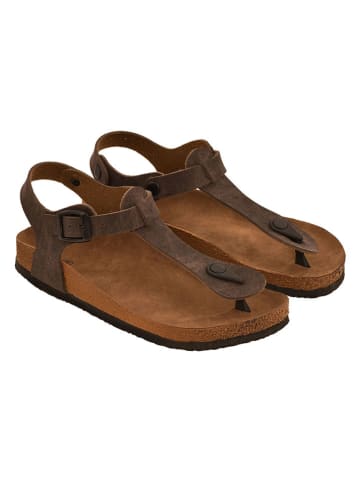 Moosefield Zehensandalen in Braun