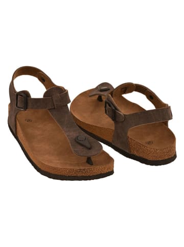 Moosefield Zehensandalen in Braun