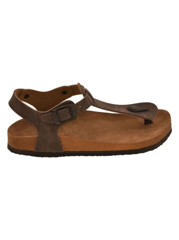 Moosefield Zehensandalen in Braun