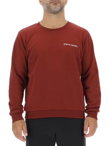 Pierre Cardin Sweatshirt in Bordeaux