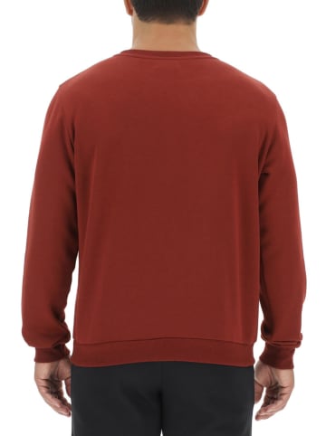 Pierre Cardin Sweatshirt in Bordeaux