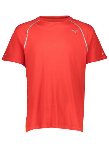 Puma Funktionsshirt "PWRRUN Thermo" in Rot
