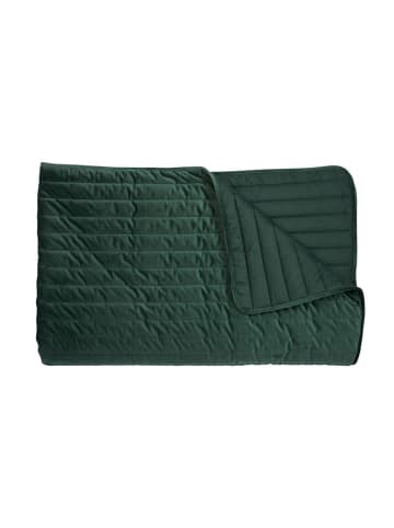 KAAT Plaid "Confer" groen