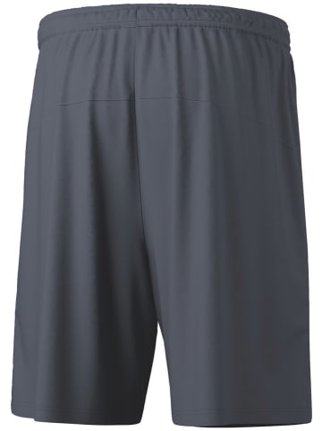 erima Funktionsshorts "Team" in Grau