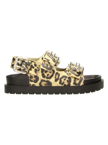 Claudia Ghizzani Sandalen in Gelb/ Schwarz