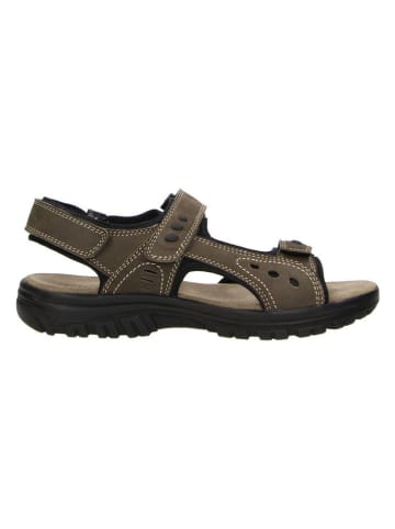 Bio Comfort Leder-Trekkingsandalen in Braun