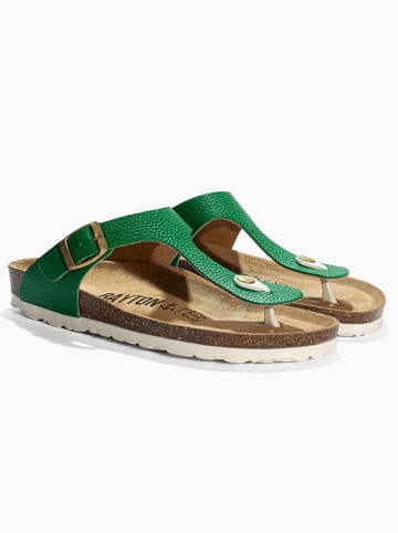 BAYTON Leren teenslippers "Mercure" groen