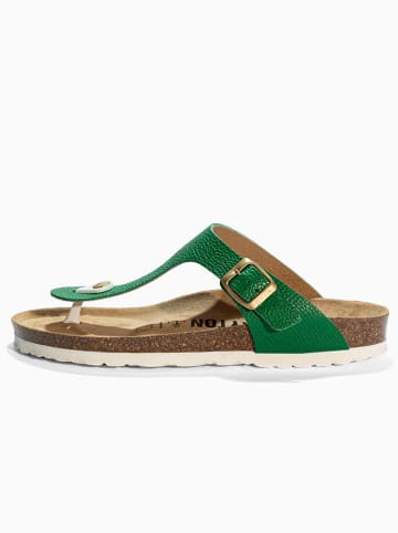 BAYTON Leren teenslippers "Mercure" groen