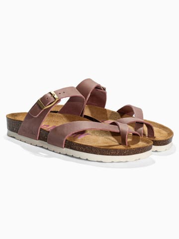 BAYTON Leren teenslippers "Diane" oudroze