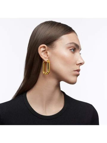 Swarovski Creolen met kristallen