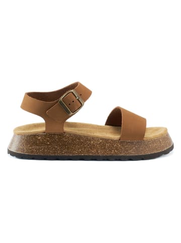 Mandel Leder-Sandalen in Hellbraun