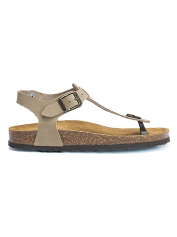 Mandel Leder-Zehensandalen in Beige