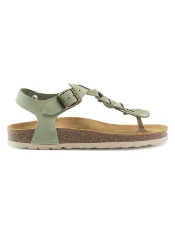 Mandel Leder-Zehensandalen in Grün