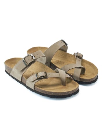 Mandel Leder-Zehentrenner in Taupe