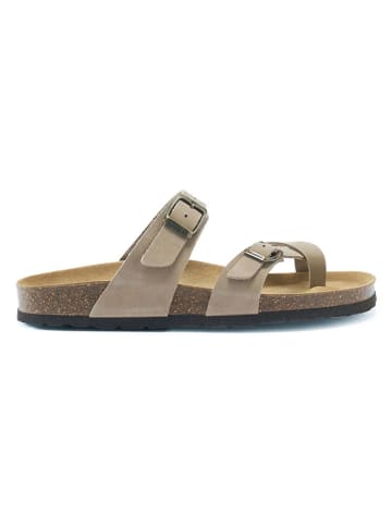 Mandel Leder-Zehentrenner in Taupe