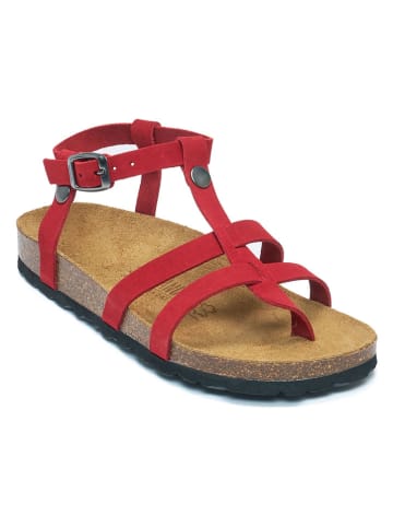 Mandel Leder-Zehensandalen in Rot