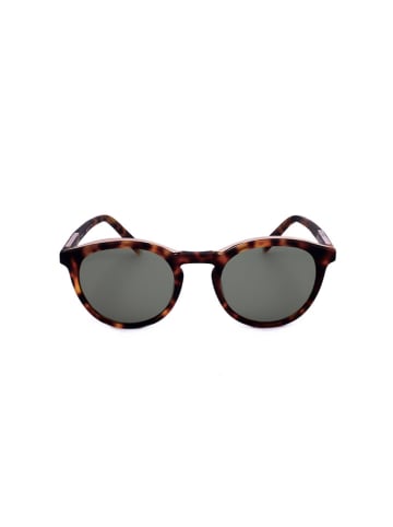 Kendall + Kylie Damen-Sonnenbrille in Hellbraun/ Grau
