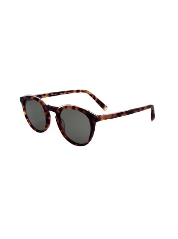 Kendall + Kylie Damen-Sonnenbrille in Hellbraun/ Grau