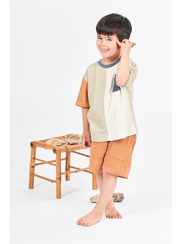 Sense Organics Shirt "Oswin" in Bunt