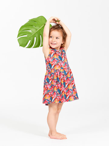 Sense Organics Kleid "Kobi" in Bunt