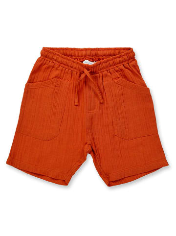 Sense Organics Shorts "Pak" in Rot