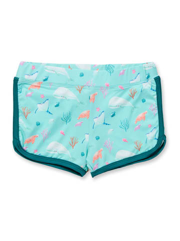 Sense Organics Bikini-Hose "Tuba" in Türkis