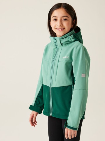 Regatta Softshelljacke "Hayden Bury" in Mint/ Dunkelgrün