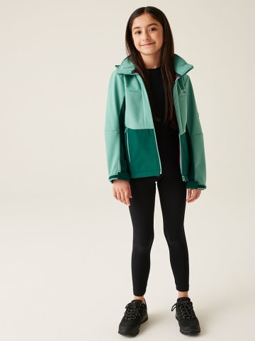 Regatta Softshelljacke "Hayden Bury" in Mint/ Dunkelgrün