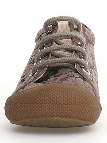 Naturino Leren sneakers "Cocoon" taupe