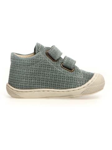 Naturino Leder-Lauflernschuhe "Cocoon" in Grün