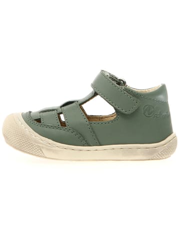 Naturino Leder-Halbsandalen "Wad" in Grün