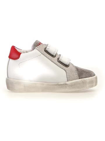 Naturino Leder-Sneakers "Dorrie" in Grau/ Weiß/ Rot