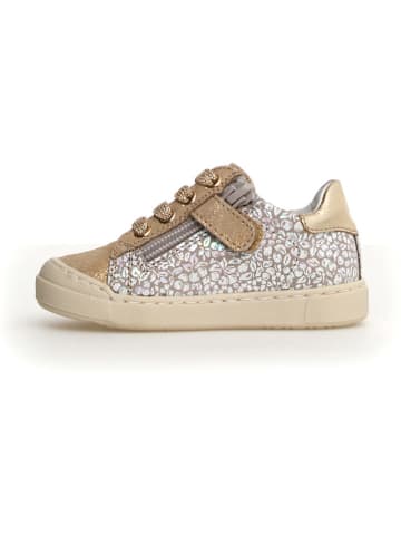 Naturino Leder-Sneakers "Eindhoven" in Gold/ Hellbraun/ Weiß